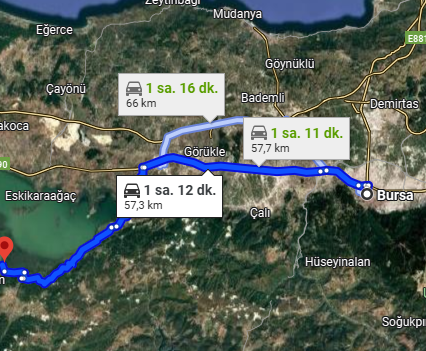 BURSA M.KEMALPAŞA KARAOĞLAN MAH.5000M² TARLA SATILIKTIR - BURSA MUSTAFAKEMALPAŞA fotoğraf 3